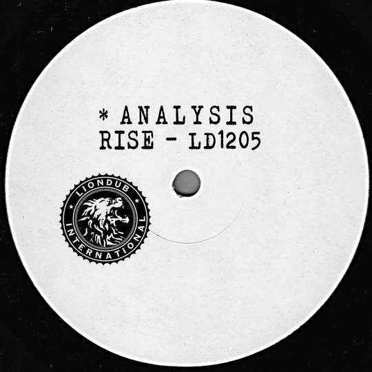 Rise (40) : Analysis (12")