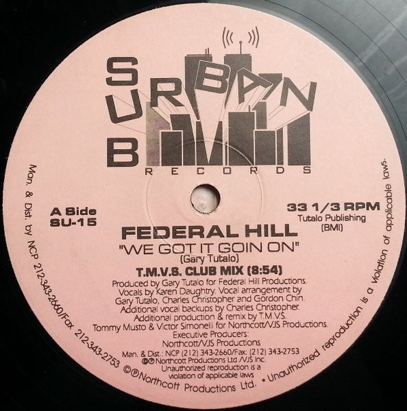 Federal Hill : We Got It Goin On (2x12")