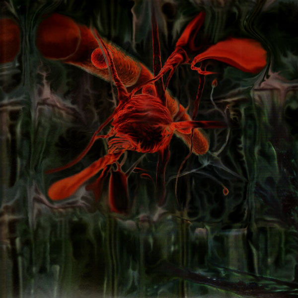 Peverelist : Jarvik Mindstate (3x12", Album)