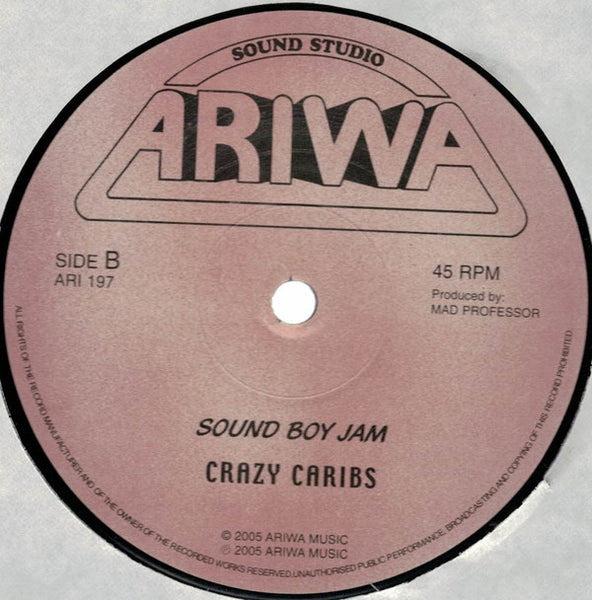 Dub Revolutionaries Featuring Queen Omega / Crazy Caribs : Works To Do / Sound Boy Jam (12")