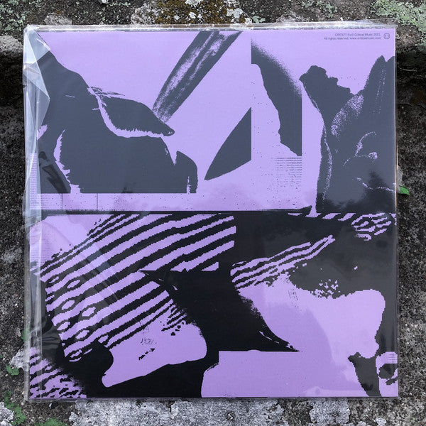 Kasra : Guilty // Kanjiru (10", Single, Ltd, Pur)