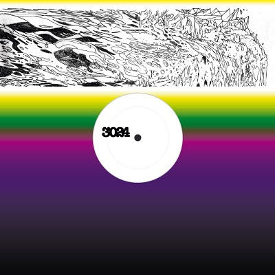 Martyn : Hear Me (Zomby Mix) / Seventy Four (Redshape Mix) (12")