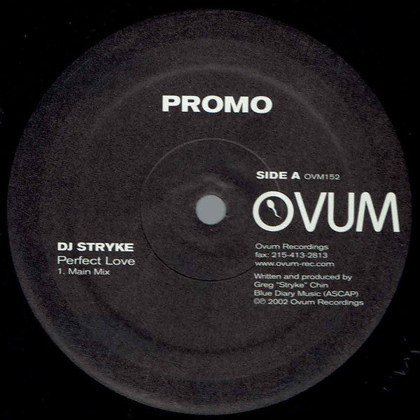 DJ Stryke* : Perfect Love (12", Promo)