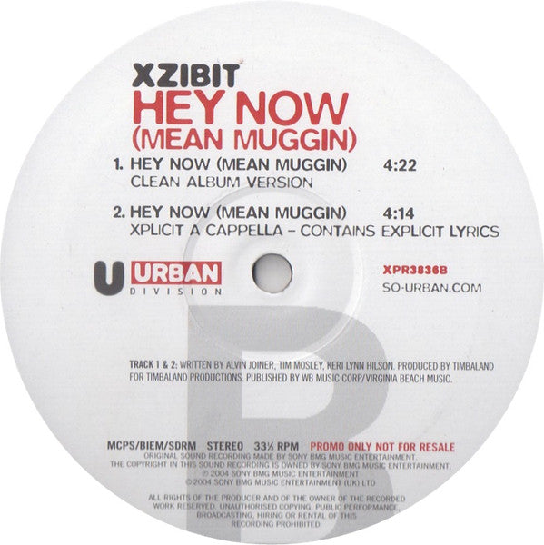 Xzibit : Hey Now (Mean Muggin) (12", Promo)