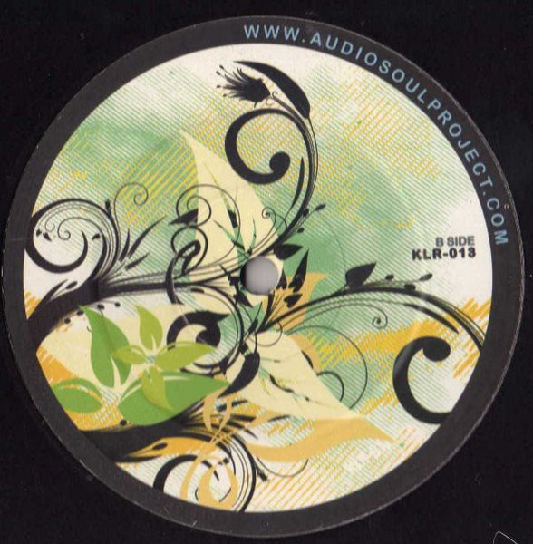 Audio Soul Project : What You've Been Missing (12")