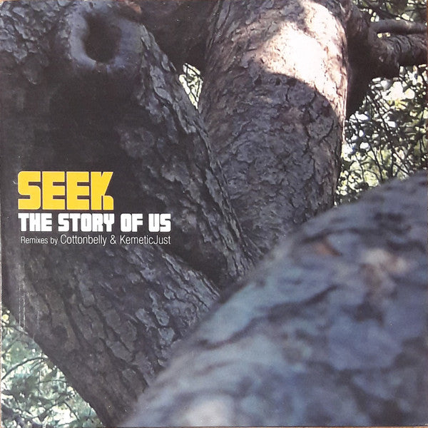 Seek : The Story Of Us (12")