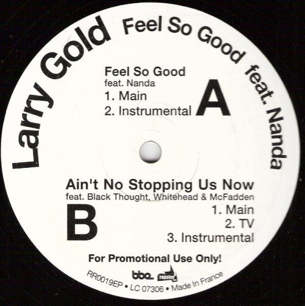 Larry Gold Feat. Nanda : Feel So Good (12", Promo)