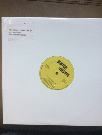 C.J. Surge : Be My Love / I Wanna Love Ya (12", Single)