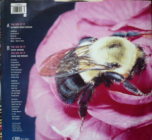 Kid Creole And The Coconuts : The Sex Of It (12", Single)
