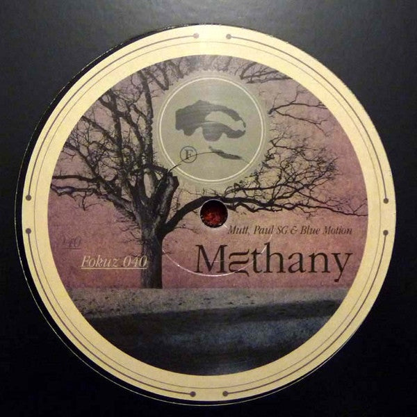 Various : Methany / Losing Brave (12")