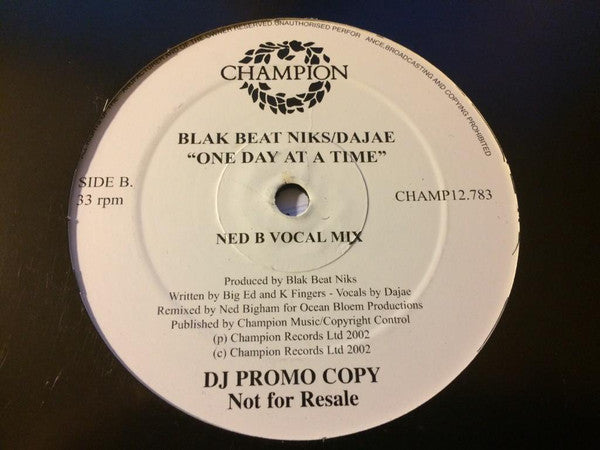 Blak Beat Niks : One Day At A Time (12", Promo)