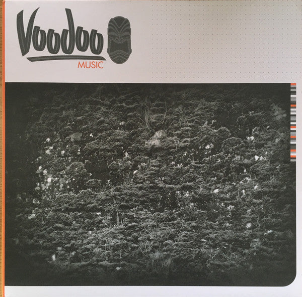 Raiden & Khanage : Amnesia Haze / 8798 (12")