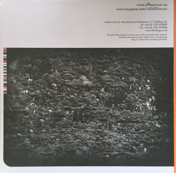 Raiden & Khanage : Amnesia Haze / 8798 (12")