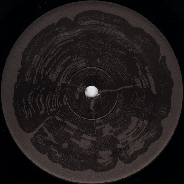 Mike Dehnert : The Many Roots (12")
