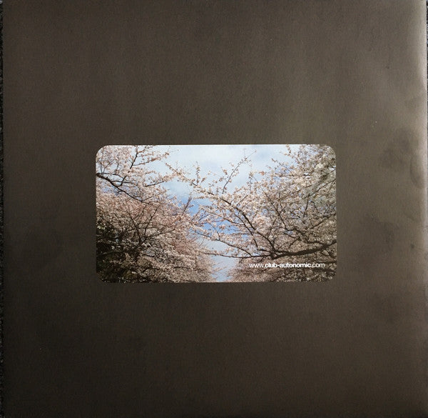 Riya (2) : Seems Like / The Cycle (12")