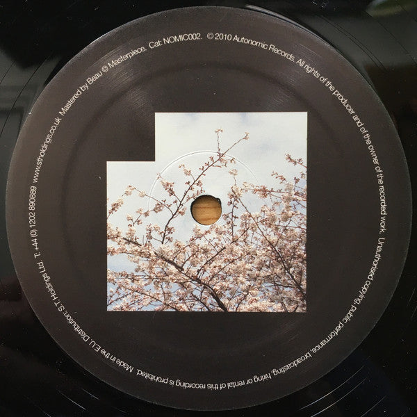 Riya (2) : Seems Like / The Cycle (12")