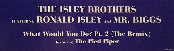 The Isley Brothers Featuring Ronald Isley AKA Mr. Biggs (6) : What Would You Do? Pt. 2 (The Remix) (12", Promo)