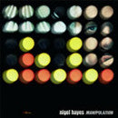 Nigel Hayes : Manipulation (12")