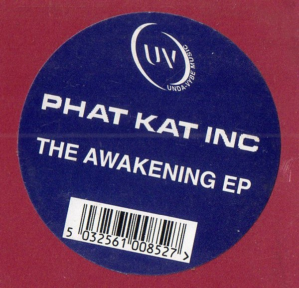 Phat Kat Inc : The Awakening EP (12", EP)