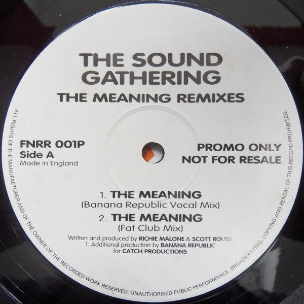 The Sound Gathering : The Meaning - Remixes (12", Promo)