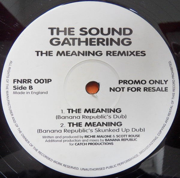 The Sound Gathering : The Meaning - Remixes (12", Promo)