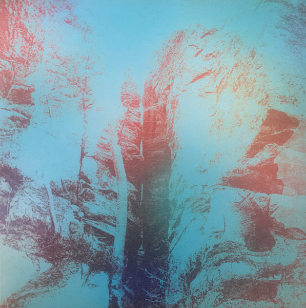 Enemy Earth : Bardo (LP, Album, Ltd)