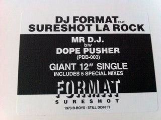 DJ Format Feat. Sureshot La Rock : Mr D.J. (12", Promo)