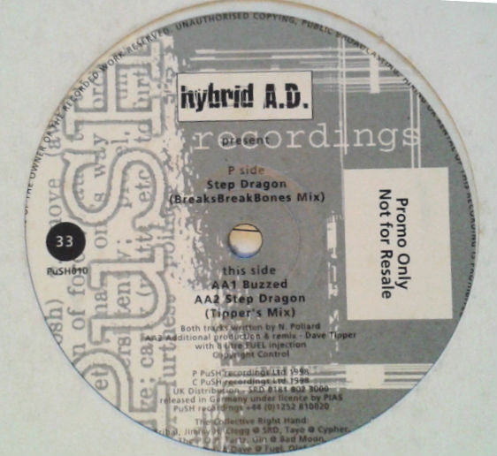 hybrid A.D. : Step Dragon / Buzzed (12", Promo)