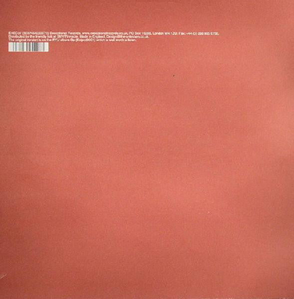 RYU : Never Too Soon (12", Single)