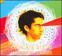 Delicate Steve : Wondervisions (CD)
