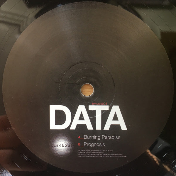 Data (15) : Burning Paradise (12")