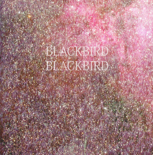 Blackbird Blackbird : Summer Heart (CD, Album)