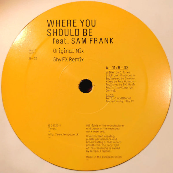 Skream Feat. Sam Frank : Where You Should Be (12", Single)