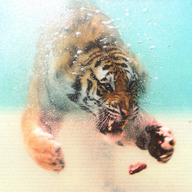 DZA : Supershark (12", EP, Whi)