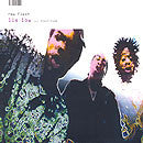 New Flesh : Lie Low (12")
