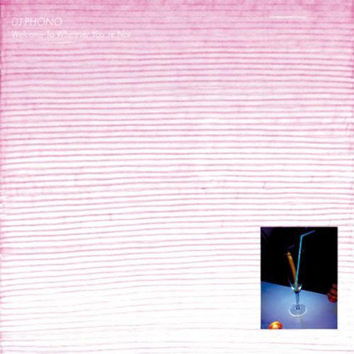 Phono : Welcome To Wherever You're Not (2x12", Album)