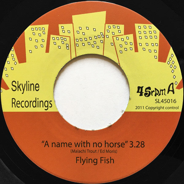 Flying Fish : A Name With No Horse (7", 45 )
