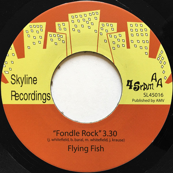 Flying Fish : A Name With No Horse (7", 45 )