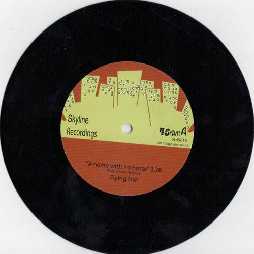 Flying Fish : A Name With No Horse (7", 45 )