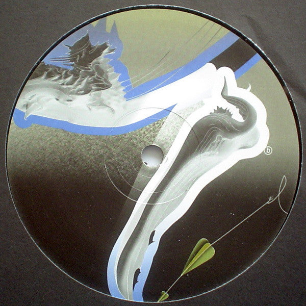 DJ Stingray (2) : Misinformation Campaign (12")