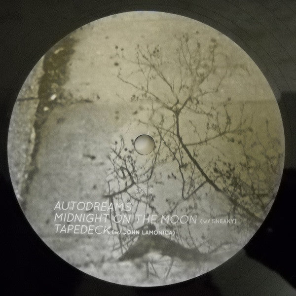 Robot Koch : The Other Side (2xLP)
