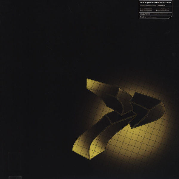 Paradox : Paralexia / Ambiguity (12")