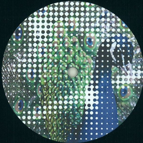 Martin Dawson and Glimpse : Wildlife (12")