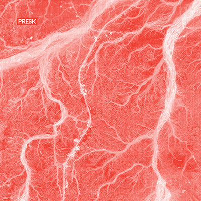 Presk : Hesitate (12", W/Lbl)