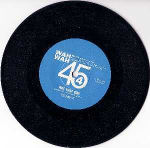 Fethawit / Richard "Groove" Holmes : Not That Girl / No Trouble On The Mountain (7")