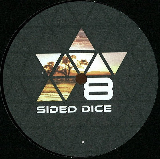Rich Jones (4) : Shadow Lands Remixed (12")