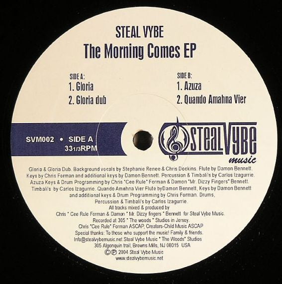 Steal Vybe : The Morning Comes EP (12", EP)
