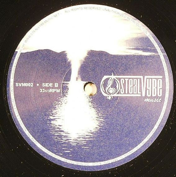 Steal Vybe : The Morning Comes EP (12", EP)