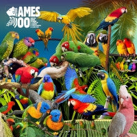 Jameszoo : Guanyin Psittacines (10", EP)