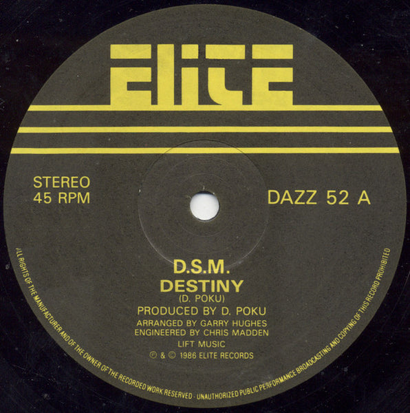 D.S.M.* : Destiny (12")